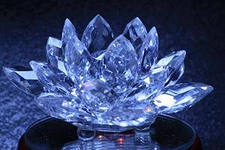 Исследовательская работа на тему Можно ли вырастить кристаллы в домашних условиях?