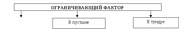 Поурочные разработки к учебнику Экология Черновой Н.М.