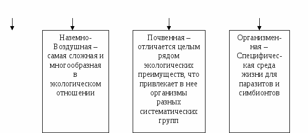 Поурочные разработки к учебнику Экология Черновой Н.М.