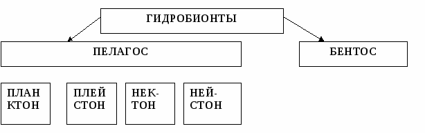 Поурочные разработки к учебнику Экология Черновой Н.М.