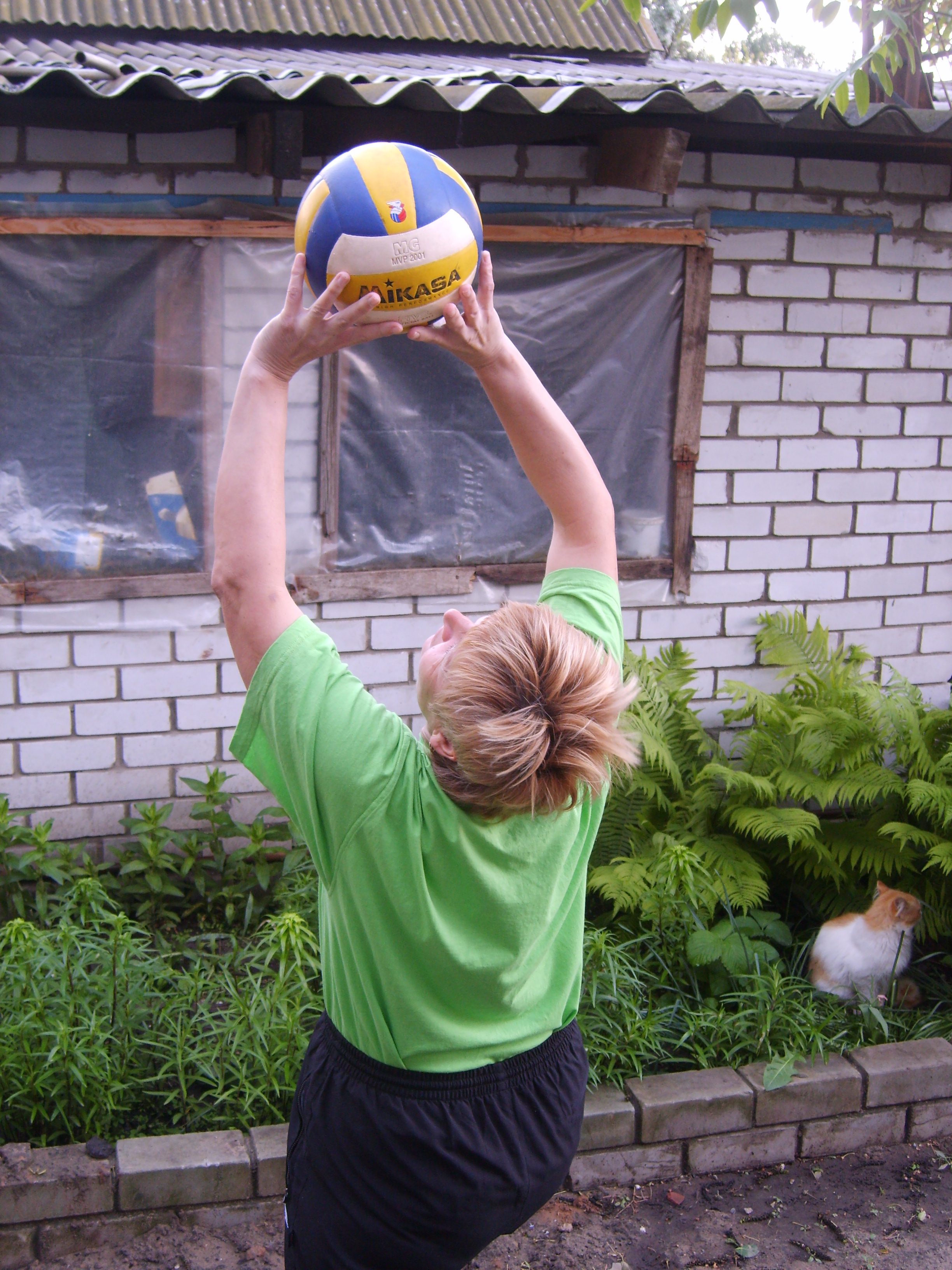 Урок по физической культуре Основы техники игры Волейбол