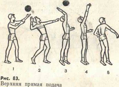 Урок по физической культуре Основы техники игры Волейбол