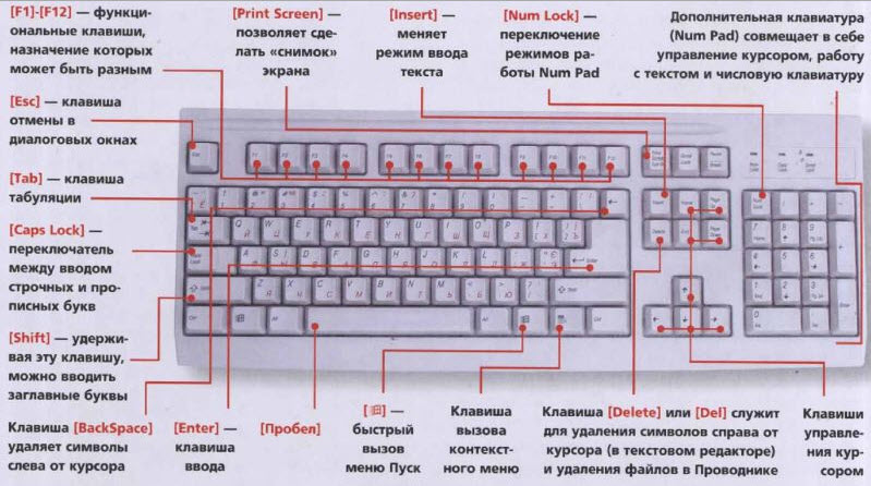 Учебное пособие по информатике