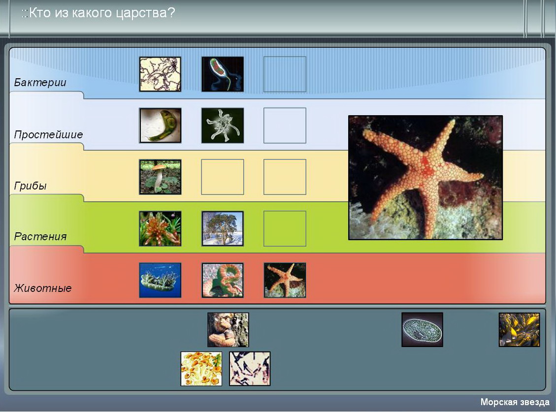 Разработка урока по теме Разнообразие живого (Многоклеточные организмы) (5 класс)