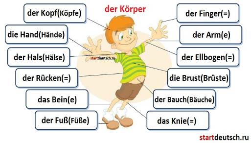 Конспекты уроков по немецкому языку для начальных классов