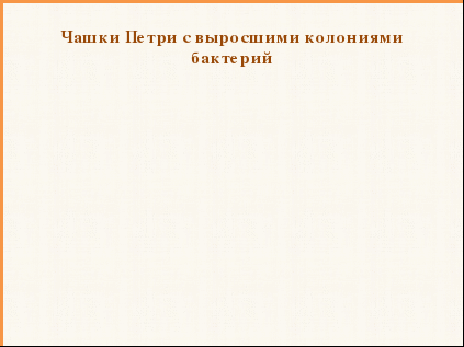 Исследовательская работа на тему «Вкусные канцтовары?!»