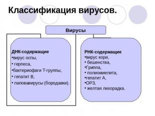 Урок-изложение нового материала Внеклеточные формы жизни-вирусы