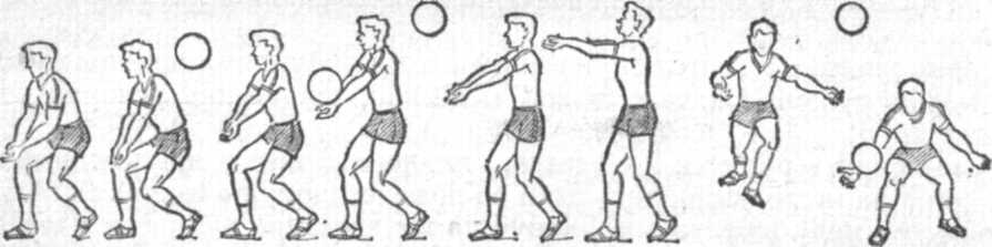 Программа спортивной секции Волейбол