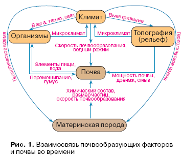 Урок по географии по теме «Почвы Астраханской области»