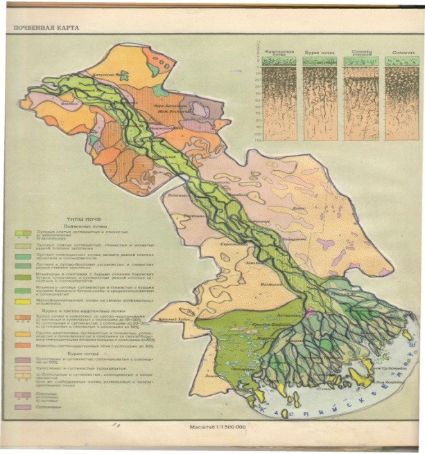 Карта почвы астраханской области