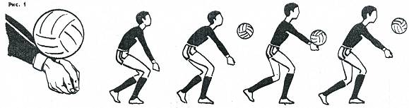 Обучение технике приема и передачи мяча снизу двумя руками на уроках физической культуры по теме «Волейбол»