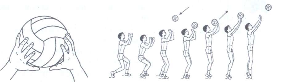 Методическая разработка раздела учебной программы «Обучение технике передачи мяча сверху двумя руками»