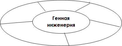 Урок по биологии на тему Генная инженерия