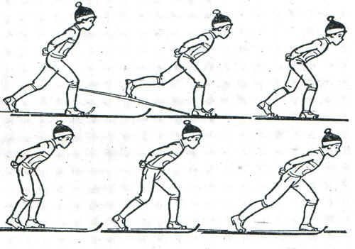 Комплекс упражнений Лыжная подготовка