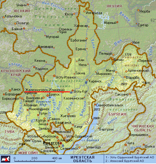 Классный час Животный и растительный мир Нижнеилимского района