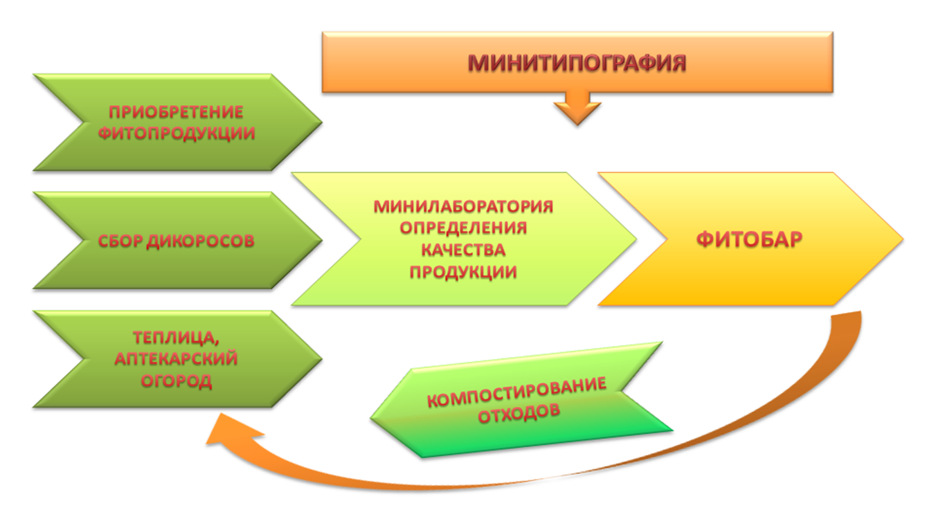 Влияние проектно - исследовательской технологии на развитие творческих способностей обучающихся научного общества «Перспектива»