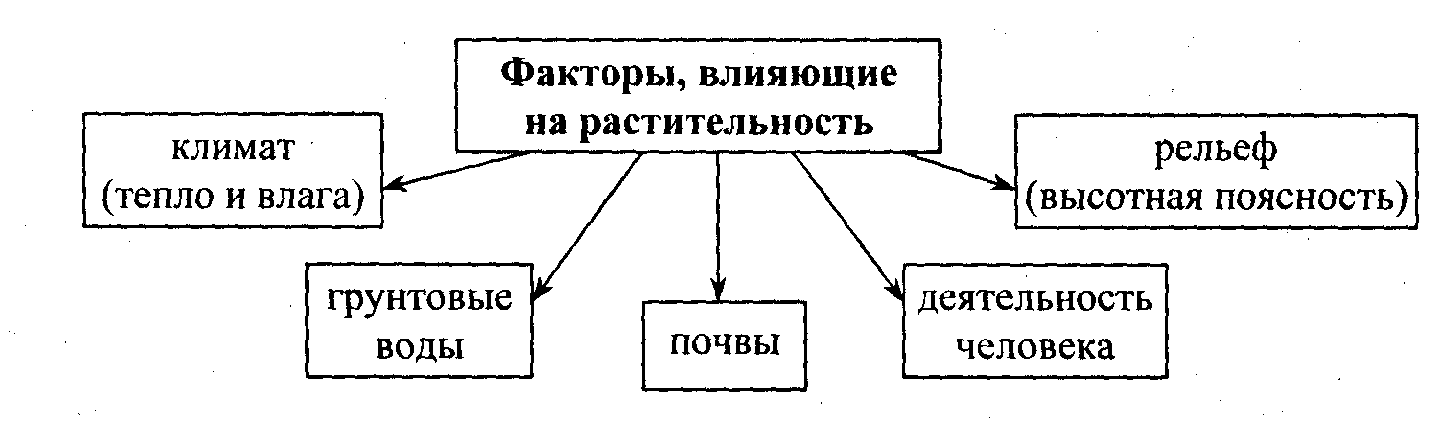 Методическая разработка по географии на тему Растительный мир России (8 класс)