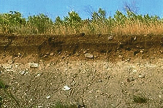 Урок по окружающему миру на тему Почва. Состав почвы