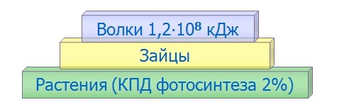 Лабораторная работа Решение экологических задач (11 класс)