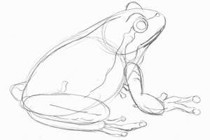 Как рисовать лягушку (2 класс)