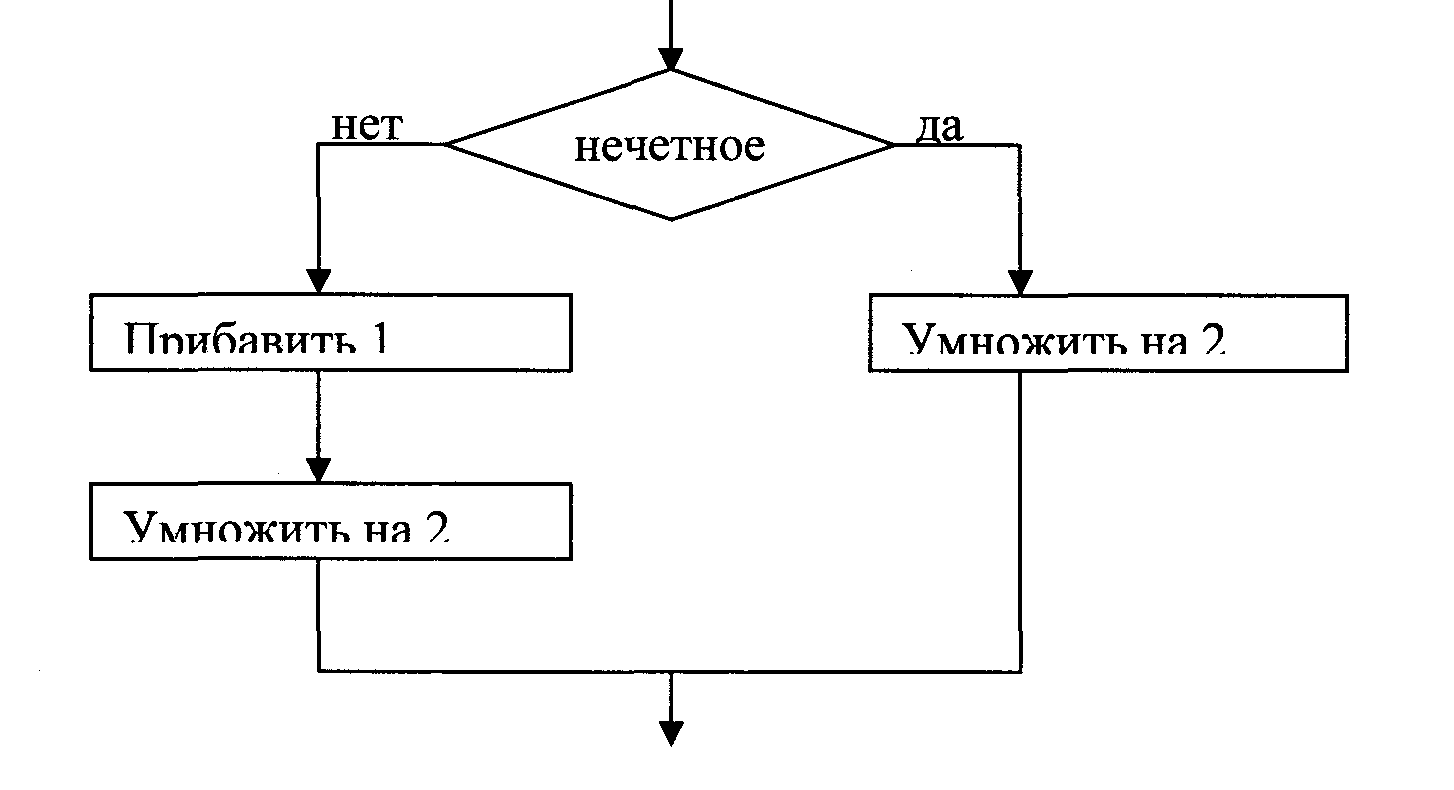 Экзаменационный комплект по информатике 1 курс