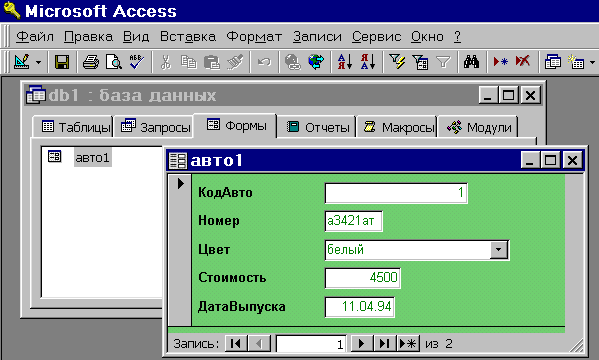 МҚБЖ Microsoft Access - мәліметтердің бейнеленуі