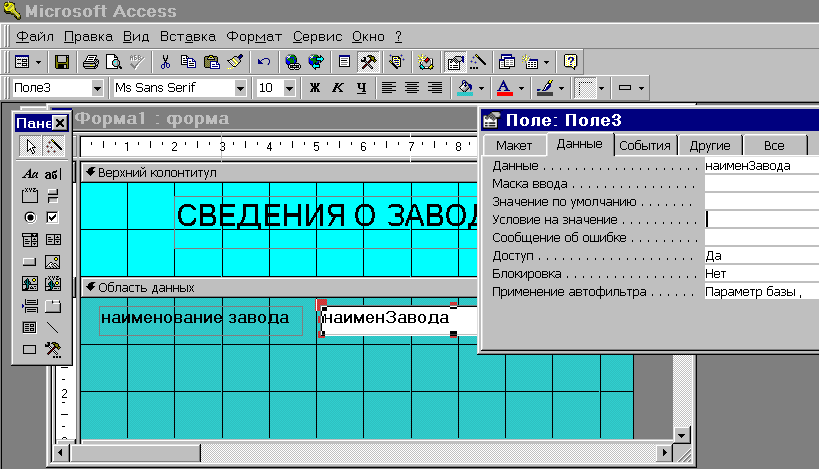 МҚБЖ Microsoft Access - мәліметтердің бейнеленуі