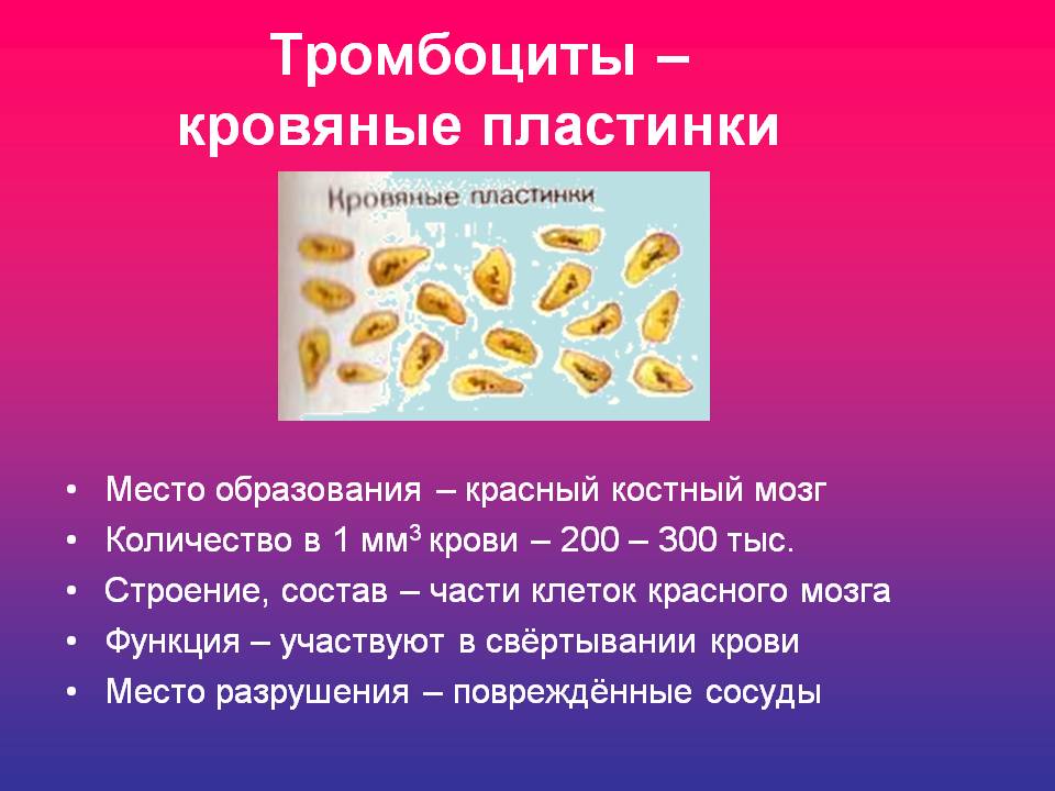 Урок биологии в 9 классе Тема: Внутренняя среда организма. Функции и состав крови