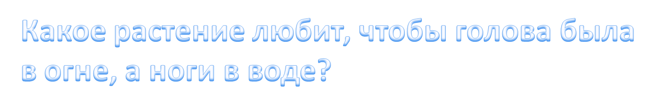 Биологический квест Путешествие в мир цветов