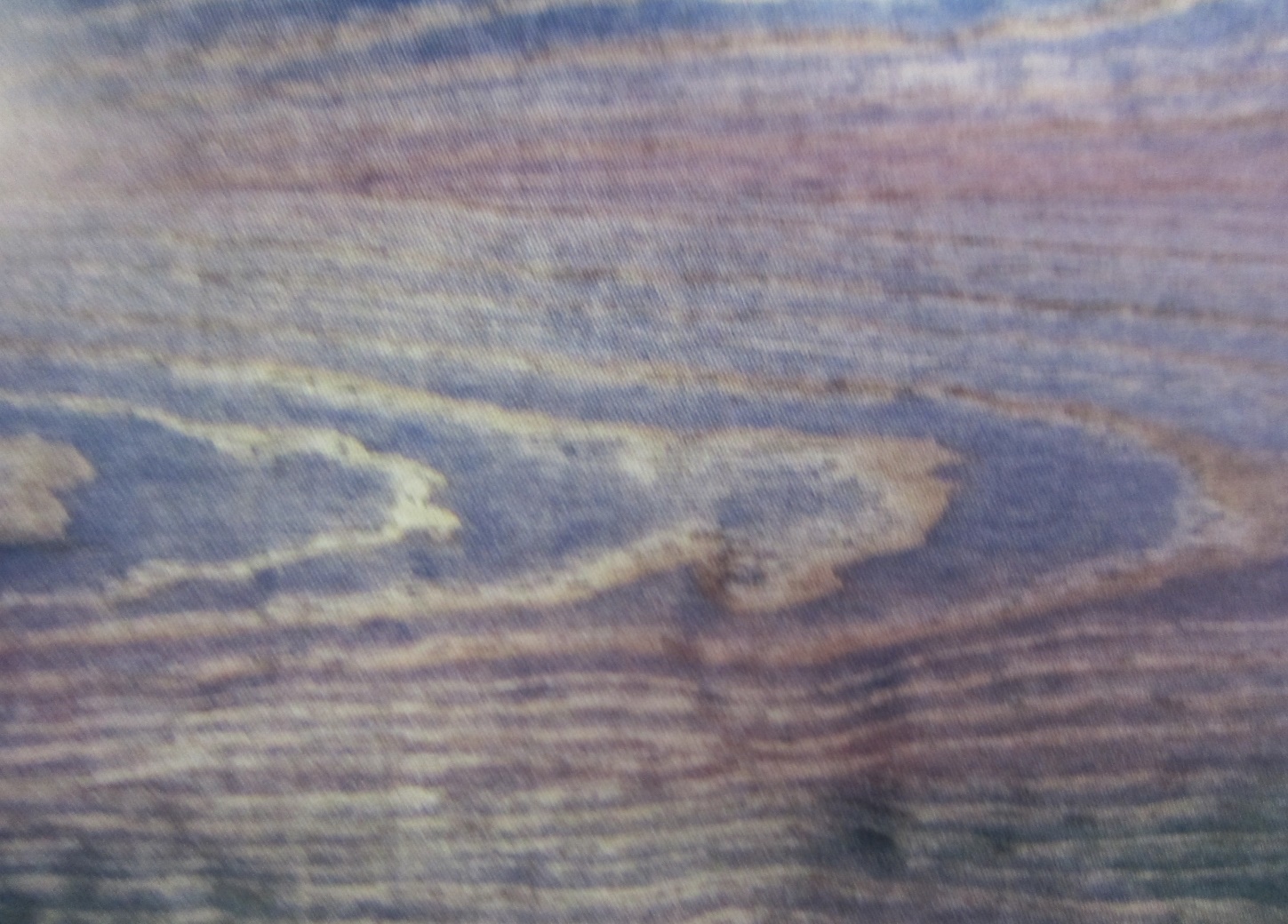 Окраска поверхности под ценные породы дерева