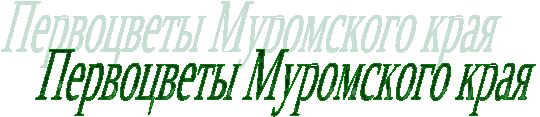 Устный журнал «Первоцветы Муромского края»