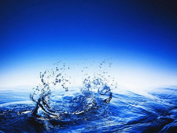 НПК-2013 « Шаг в будущее». Тема : « Вода – самое загадочное вещество на Земле».