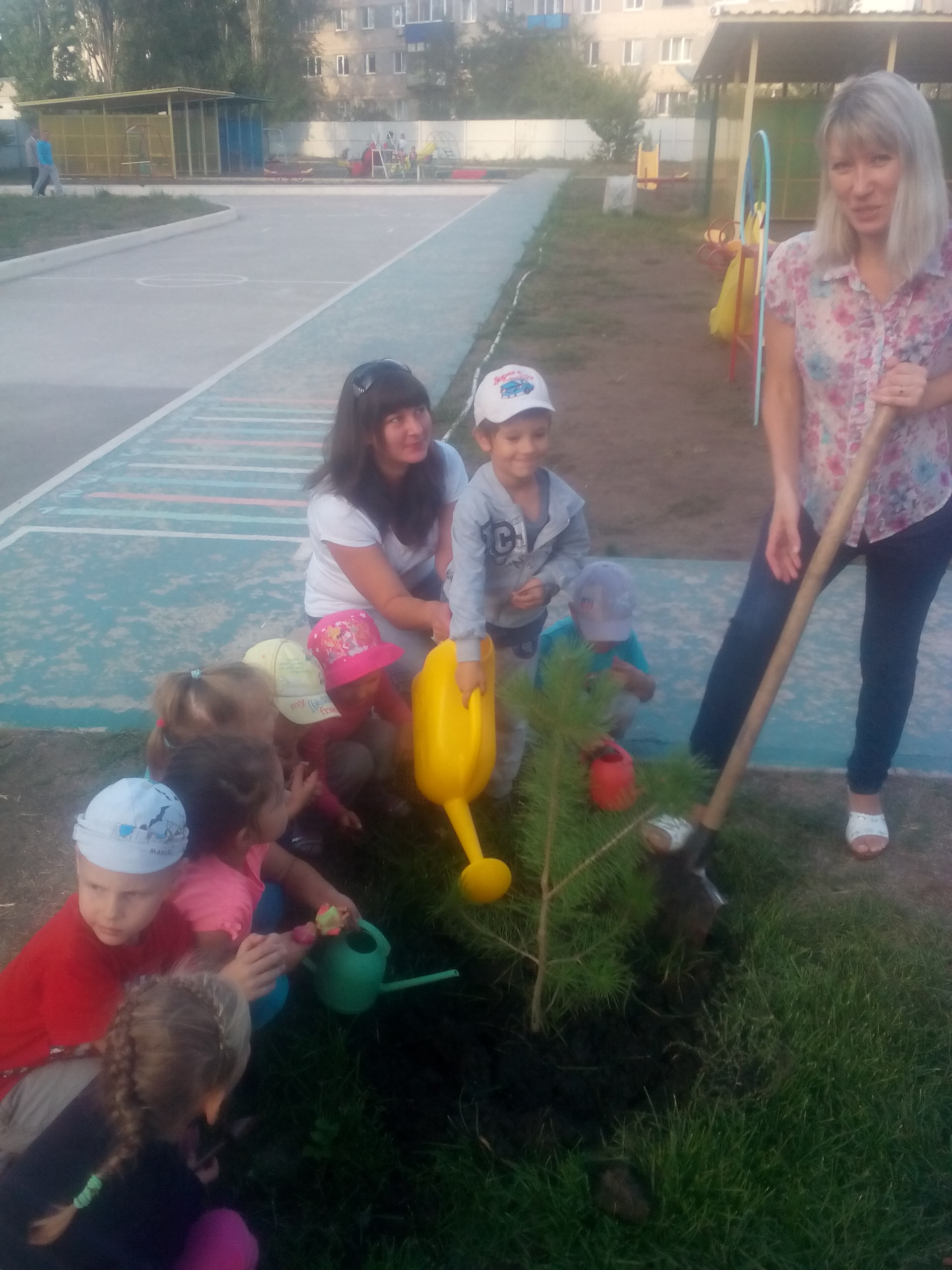 Акция «Подари дерево детскому саду»