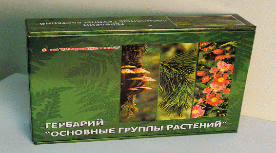 Паспорт кабинета биологии МКОУ Новолидженская СОШ