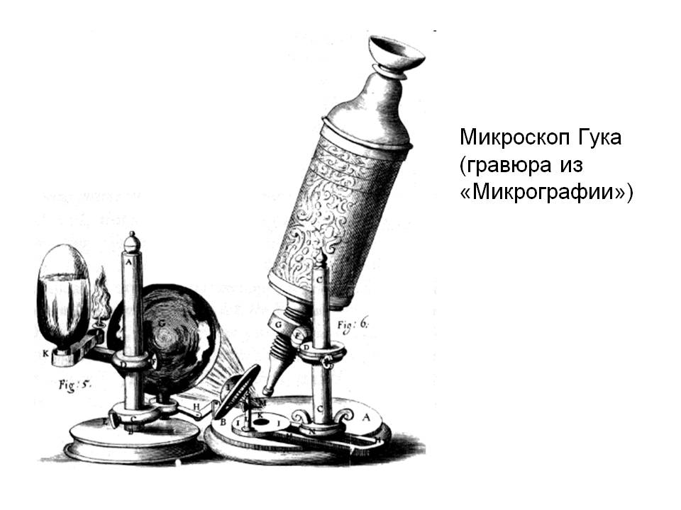 Карточки к учебнику биологии. Авторы учебника И.Н.Пономарева, И.В. Николаев, О.А. Корниловав. ФГОС.