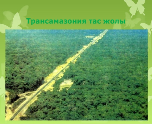 Дүниетану пәні бойынша 4 сыныпқа арналған сабақ жоспарлары