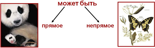 Конспект по биологии на тему Индивидуальное развитие организмов 9 класс