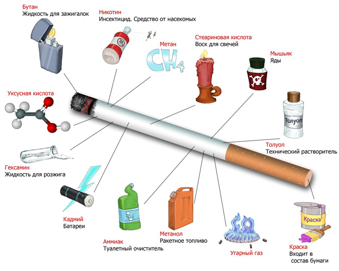 Исследовательская работа Вредное влияние табачного дыма на живые организмы
