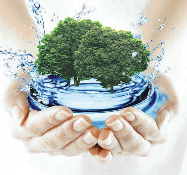 Социально-экологический проект Охрана и восстановление водных ресурсов