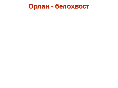 Приложение к презентации Красная книга Смоленской области