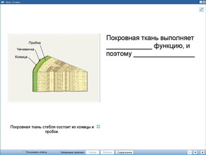 Методическая разработка Формирование познавательной активности обучающихся на занятиях по биологии через использование ИКТ.