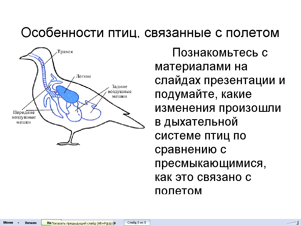 Методическая разработка Формирование познавательной активности обучающихся на занятиях по биологии через использование ИКТ.