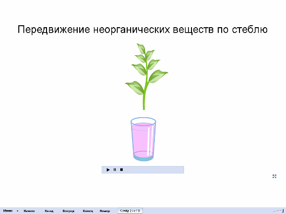 Методическая разработка Формирование познавательной активности обучающихся на занятиях по биологии через использование ИКТ.