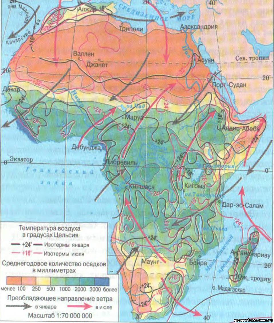 Разработка урока по географии на тему Общая характеристика Африки (7 класс)