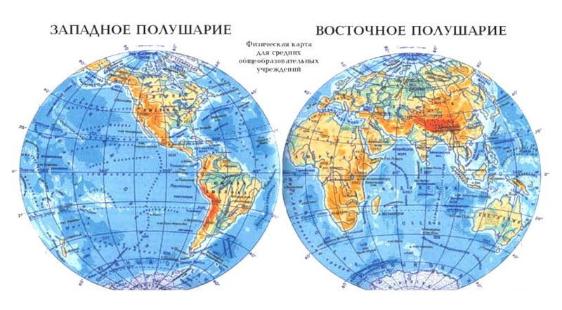 Урок познания мира Птицы осенью