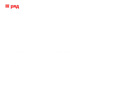 Урок русского языка в 5 классе Имя прилагательное как часть речи