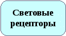 Методическая разработка Модульное обучение на уроках биологи