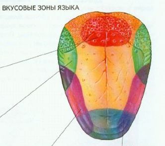 Контроль 4 класс окр мир