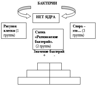 Урок биологии по ФГОС Тема: ««Бактерии», 6 класс