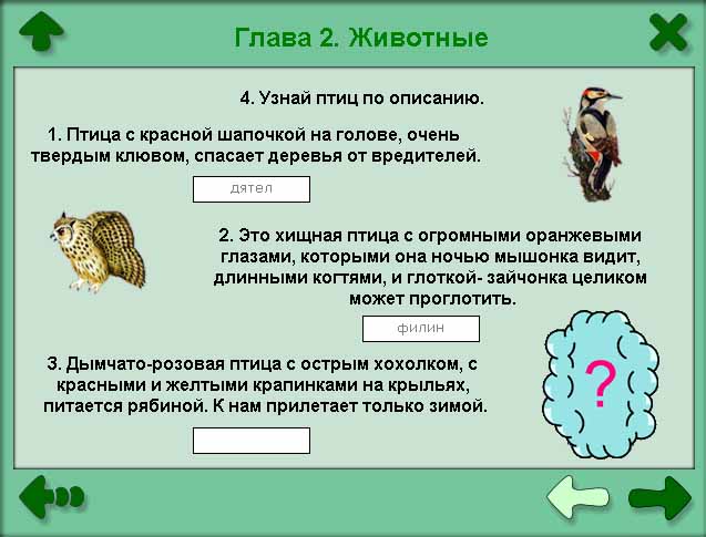 Конспект урока по познанию мира на тему Разнообразие животного мира. Группы животных ( 3 класс)